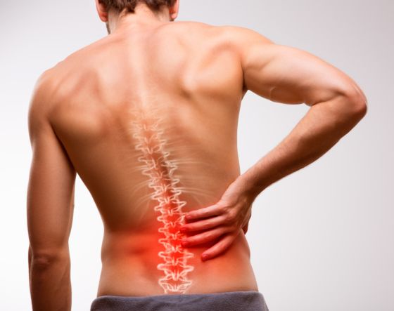 Rücken Trainingsdiagnostik Rückenschmerzen